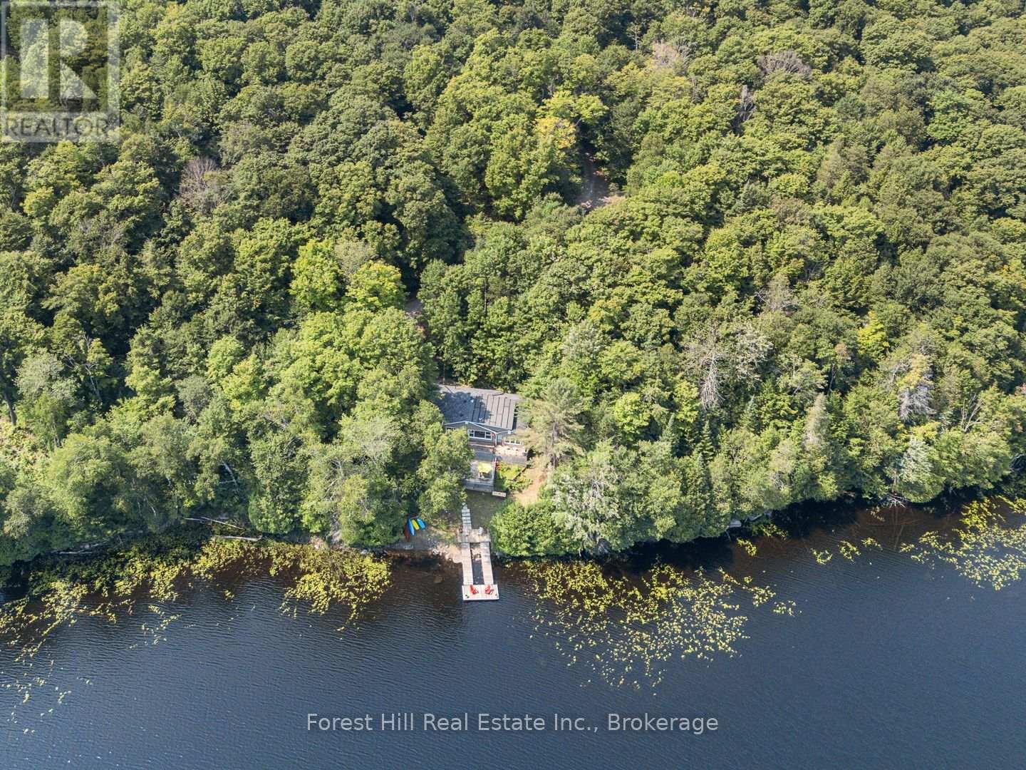 3477 Livingstone Lake Road, Algonquin Highlands, Ontario  P0A 1E0 - Photo 3 - X12321271