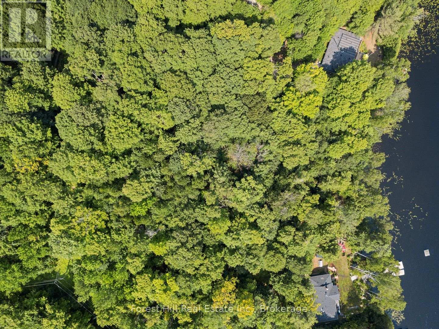 3477 Livingstone Lake Road, Algonquin Highlands, Ontario  P0A 1E0 - Photo 47 - X12321271