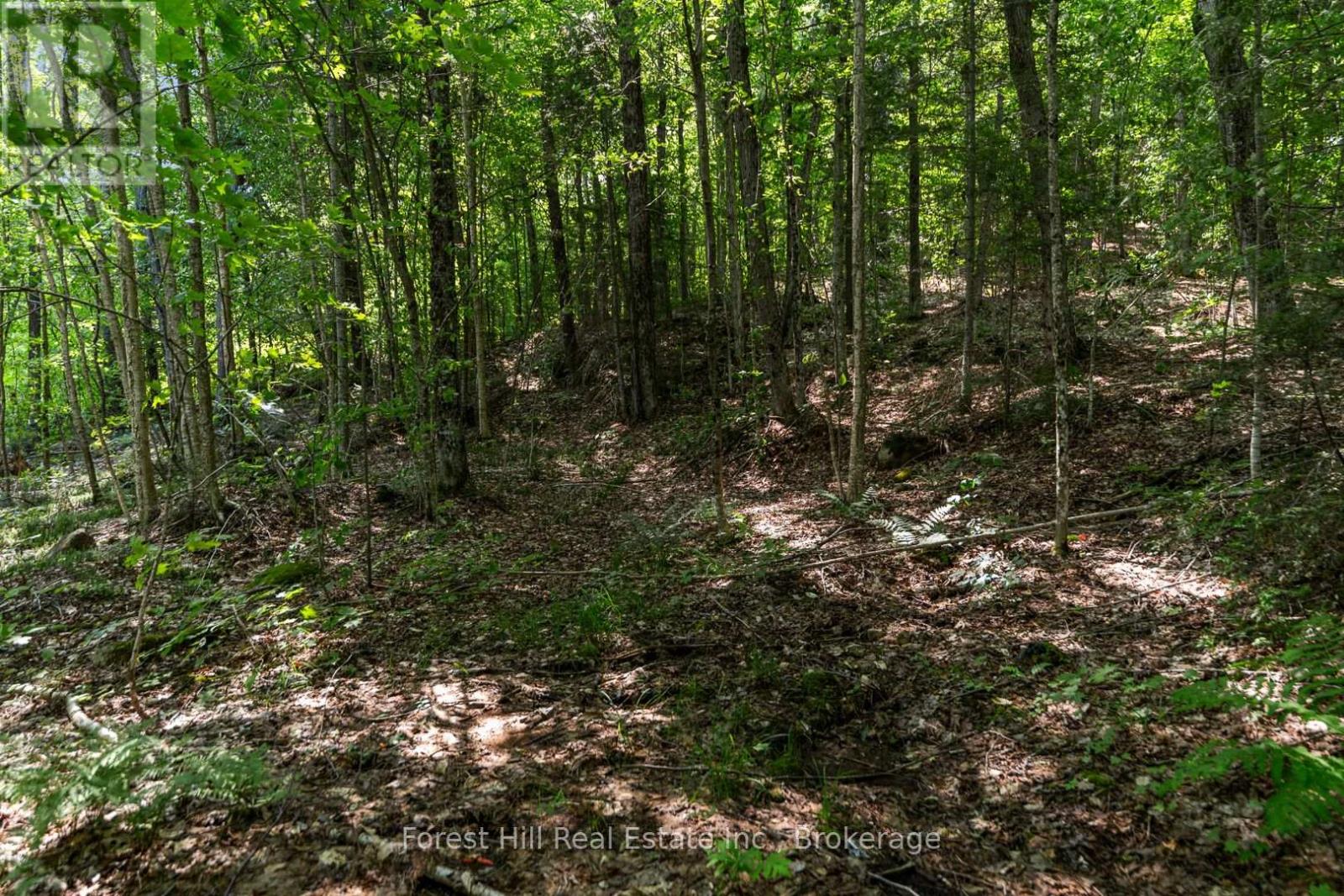 3477 Livingstone Lake Road, Algonquin Highlands, Ontario  P0A 1E0 - Photo 48 - X12321271