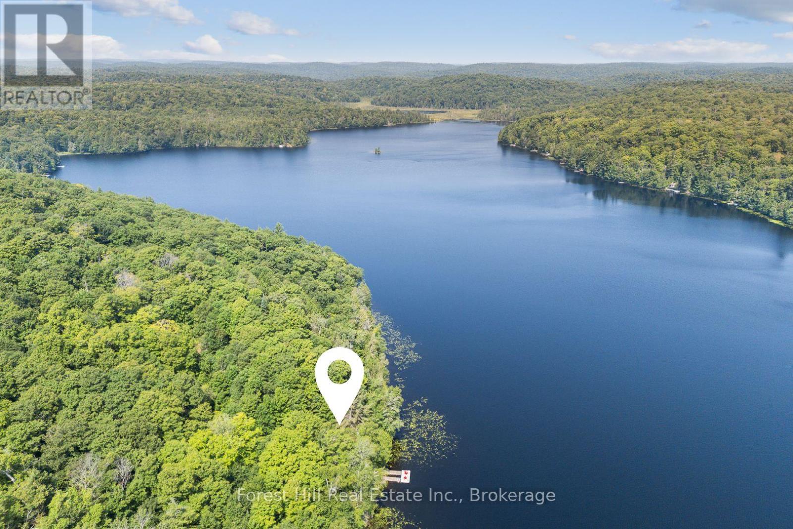 3477 Livingstone Lake Road, Algonquin Highlands, Ontario  P0A 1E0 - Photo 6 - X12321271