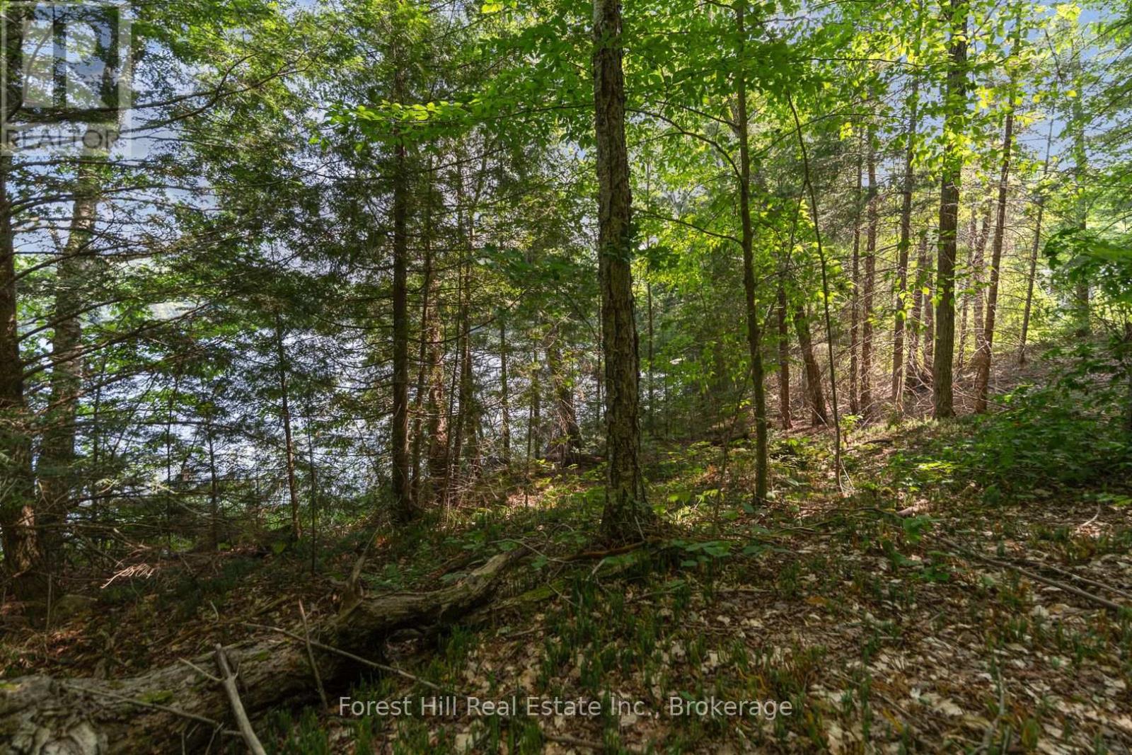 3477 Livingstone Lake Road, Algonquin Highlands, Ontario  P0A 1E0 - Photo 9 - X12321271