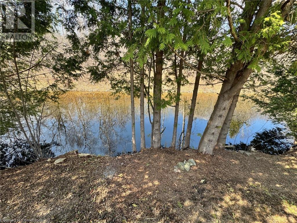 35 Water Street, Puslinch, Ontario  N0B 2J0 - Photo 18 - 40756091