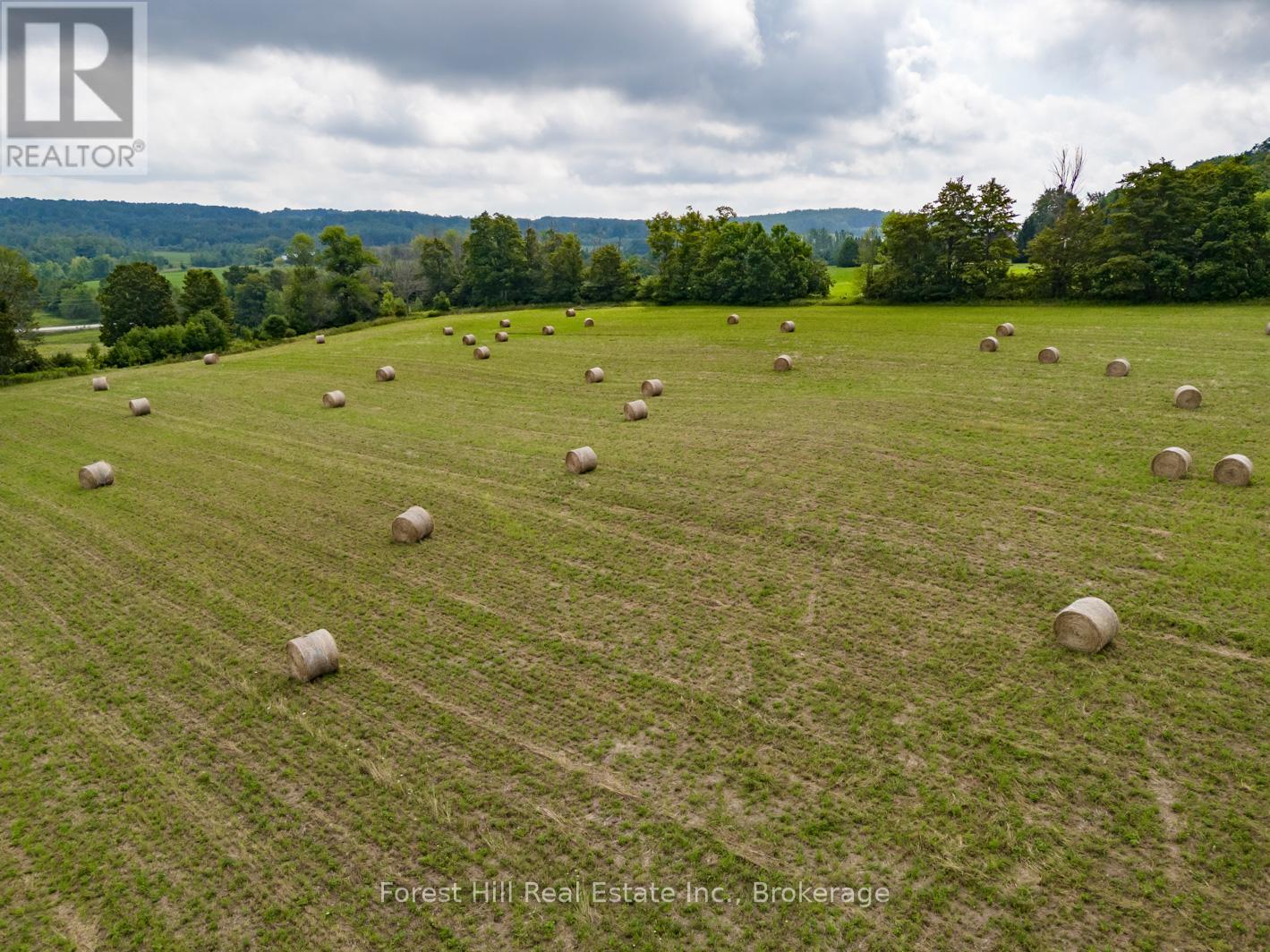 495688 2 Grey Road, Blue Mountains, Ontario  N0H 2E0 - Photo 13 - X12321392