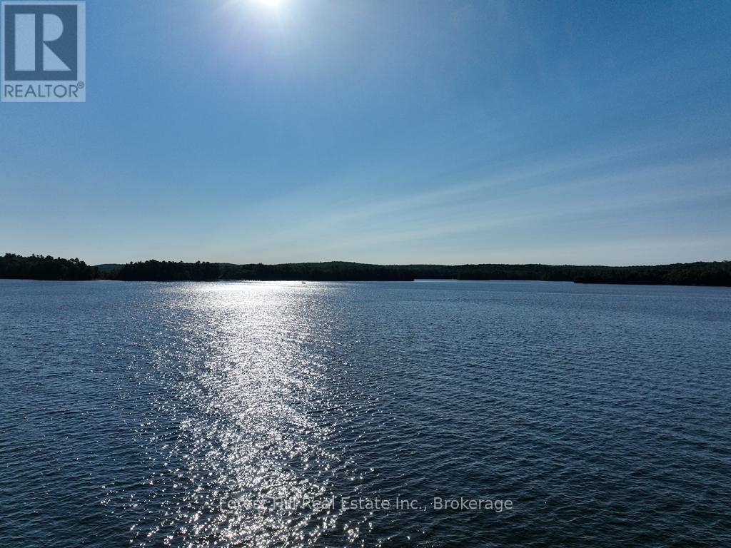 10689 Kawagama Lake, Algonquin Highlands, Ontario  P0A 1E0 - Photo 20 - X12321536