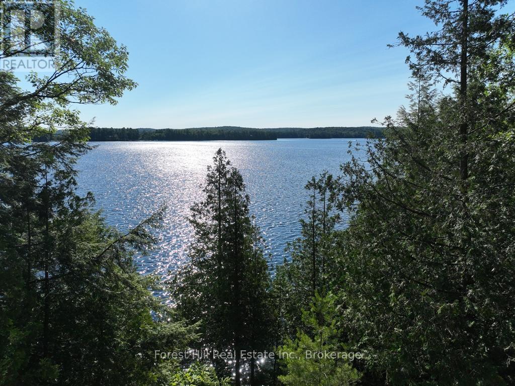 10689 Kawagama Lake, Algonquin Highlands, Ontario  P0A 1E0 - Photo 27 - X12321536