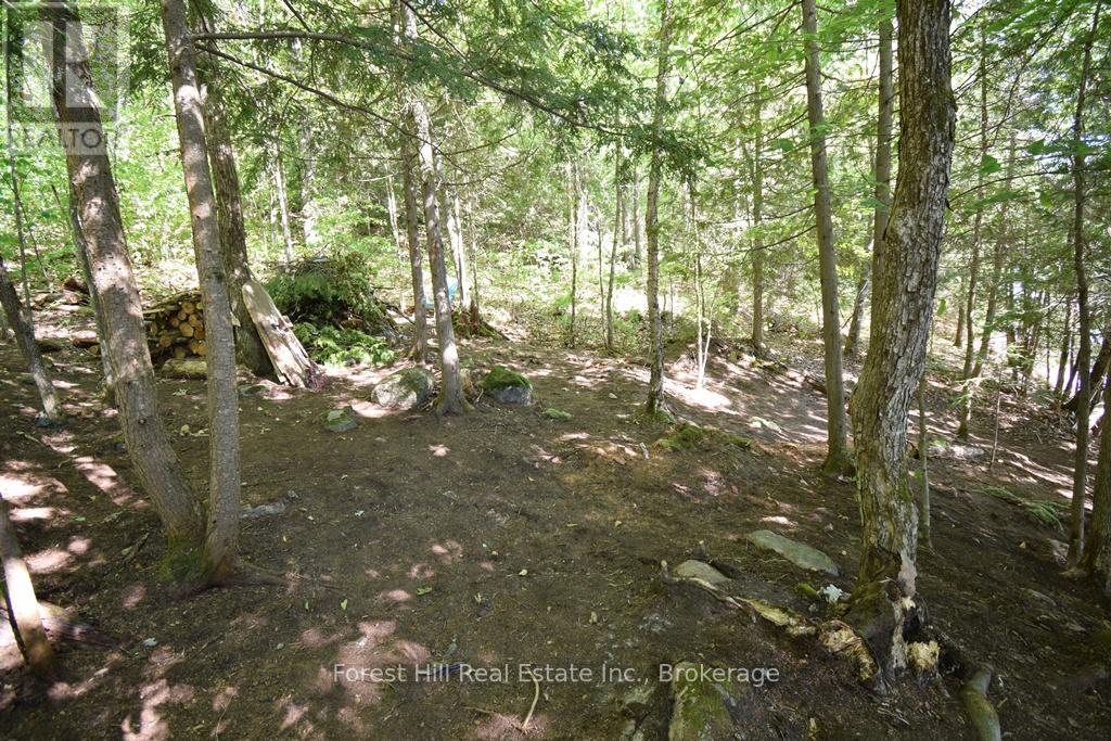 10689 Kawagama Lake, Algonquin Highlands, Ontario  P0A 1E0 - Photo 28 - X12321536