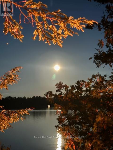 10689 Kawagama Lake, Algonquin Highlands, Ontario  P0A 1E0 - Photo 29 - X12321536