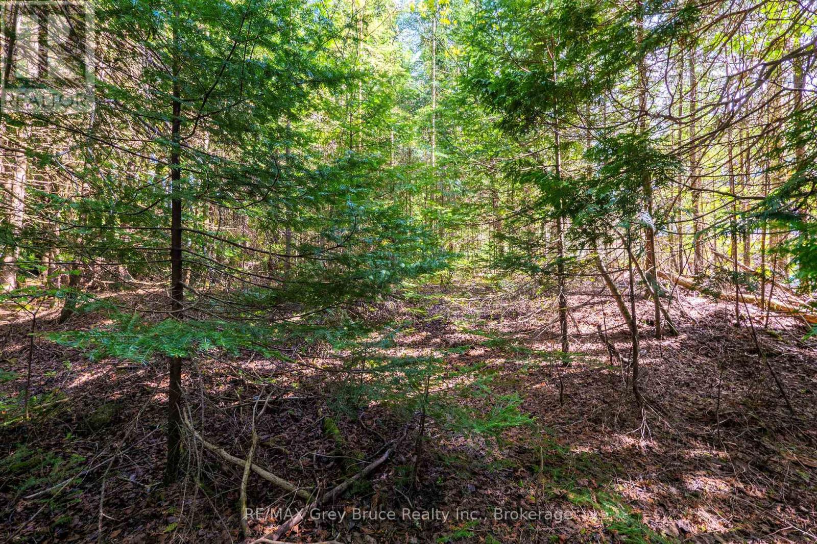 Unit 6 Stokes Bay Road, Northern Bruce Peninsula, Ontario  N0H 1W0 - Photo 14 - X12321624