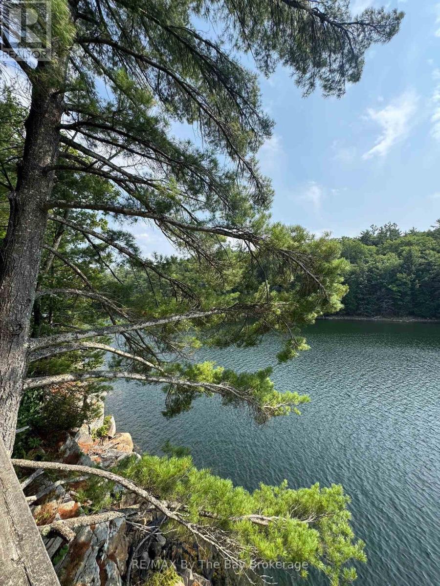 1177 Harrison Trail, Georgian Bay, Ontario  P0C 1H0 - Photo 23 - X12321669
