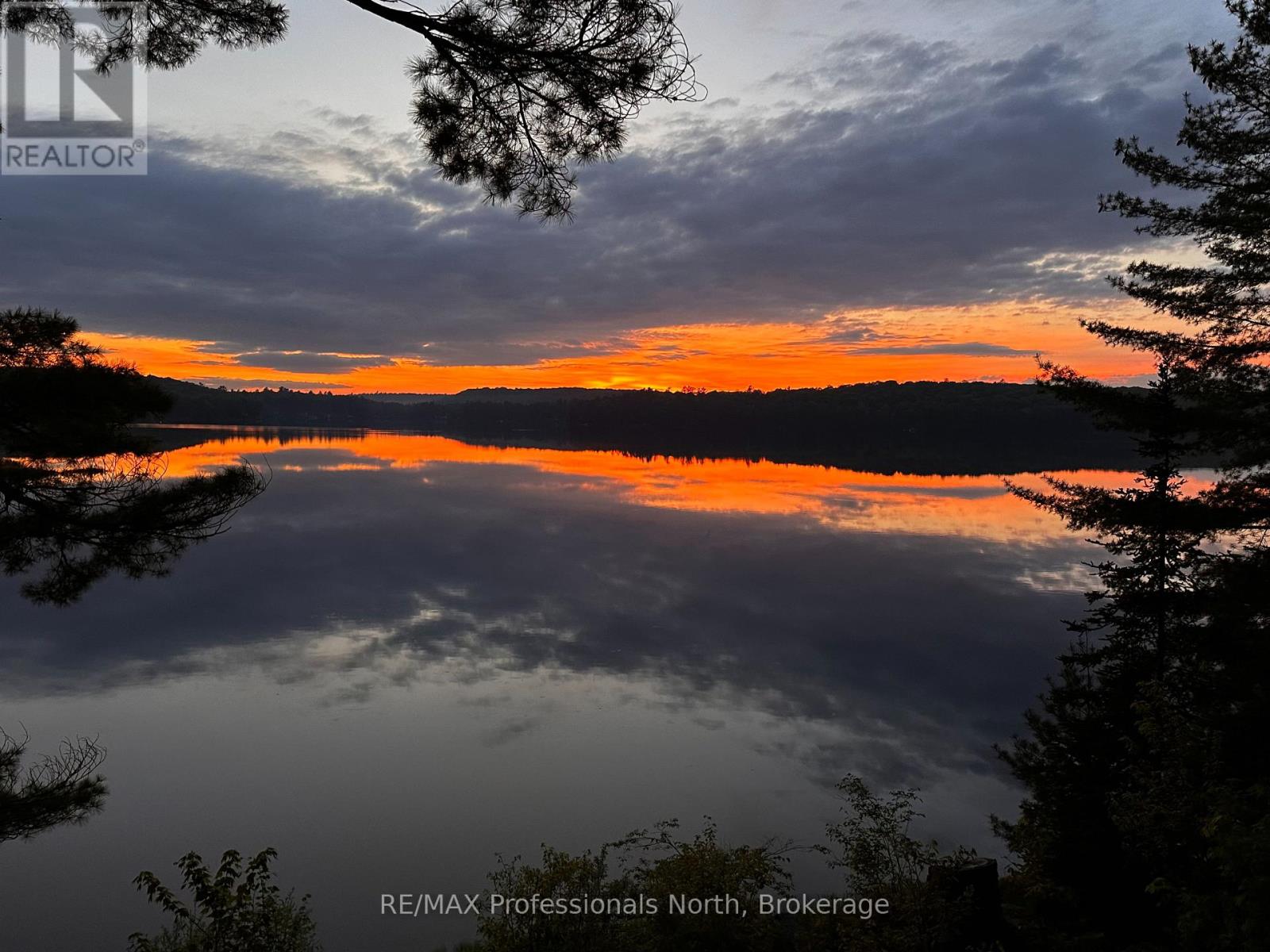 11443 Kushog North Water, Algonquin Highlands, Ontario  K0M 1J2 - Photo 6 - X12322471