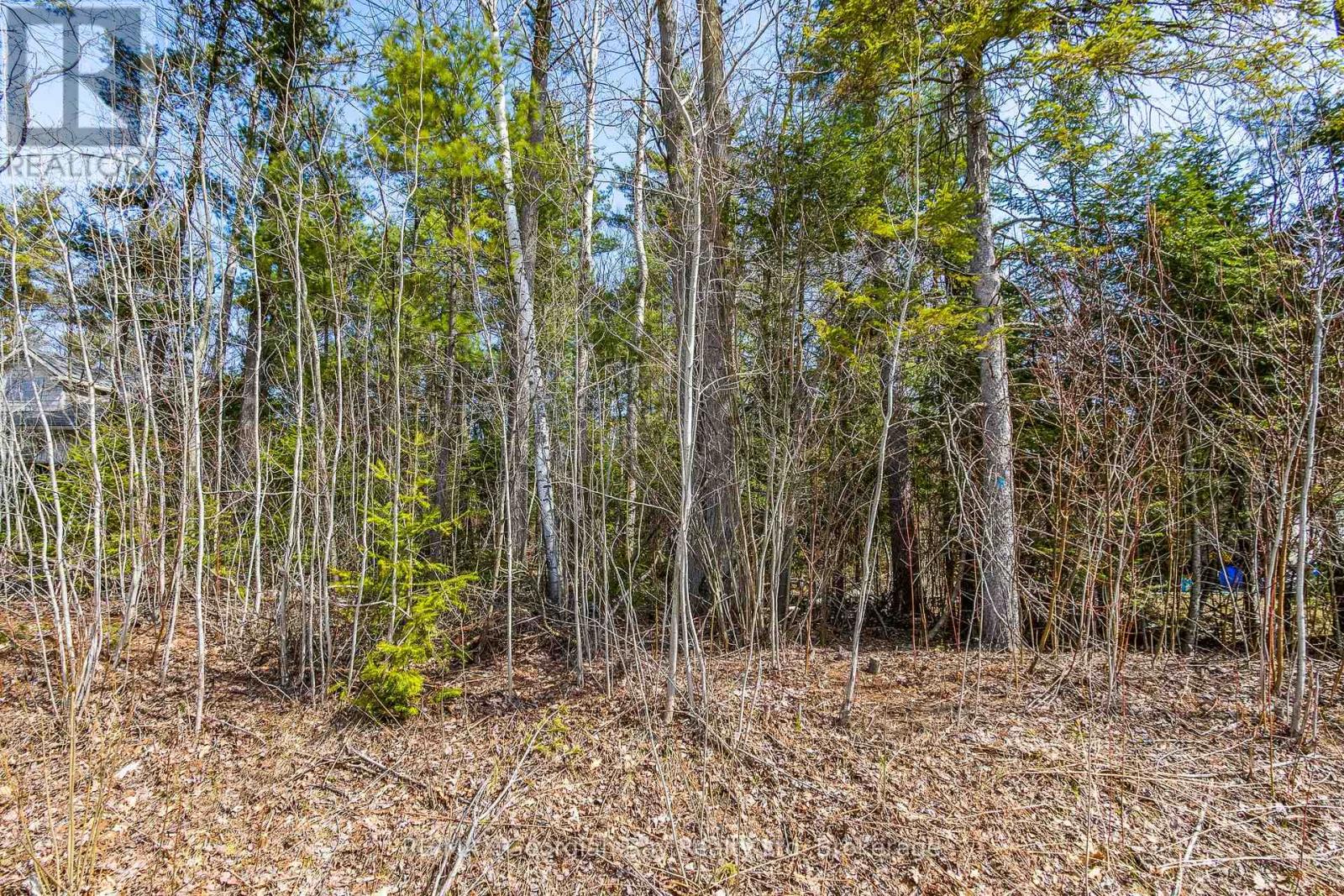 Lot 102 Emilio Place, Tiny, Ontario  L0L 1T0 - Photo 7 - S12323215