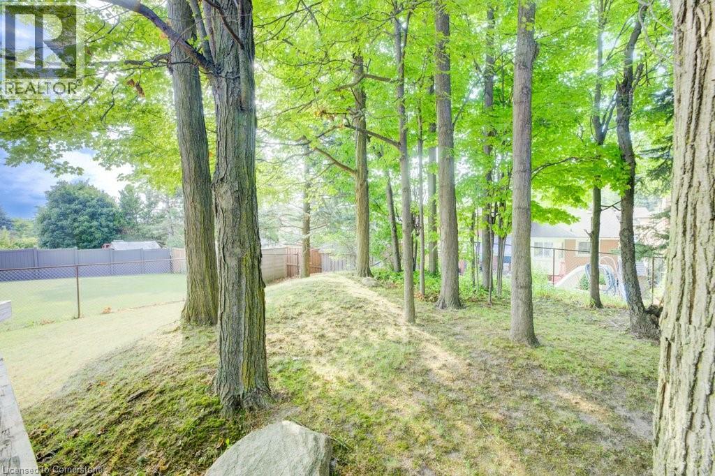 71 Ripley Crescent, Kitchener, Ontario  N2N 1W2 - Photo 31 - 40755148