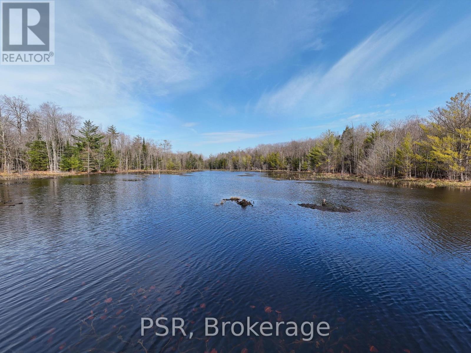 3410 Southwood Road, Gravenhurst, Ontario  P0G 1G0 - Photo 17 - X12324852