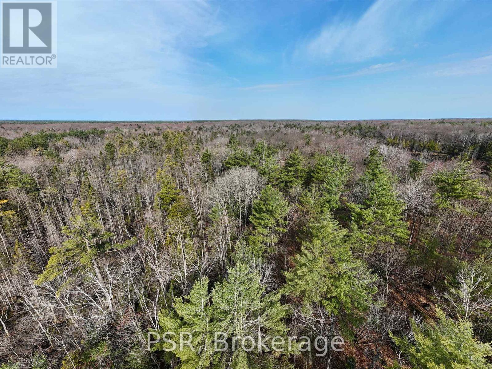 3410 Southwood Road, Gravenhurst, Ontario  P0G 1G0 - Photo 21 - X12324852