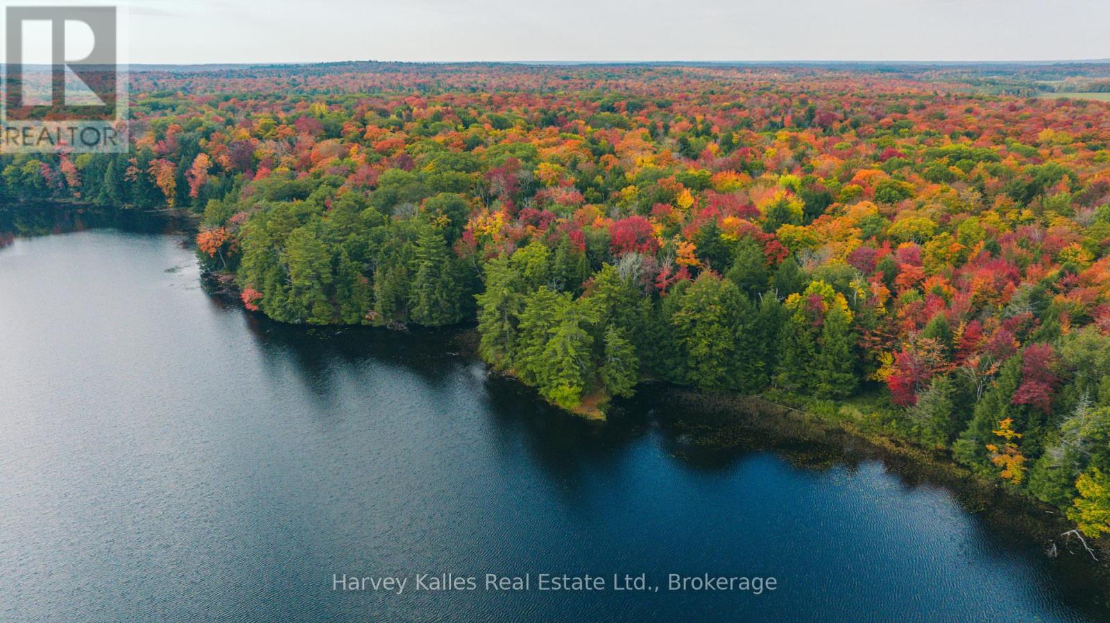 0 Windermere Road, Muskoka Lakes, Ontario  P0B 1M0 - Photo 16 - X12326029
