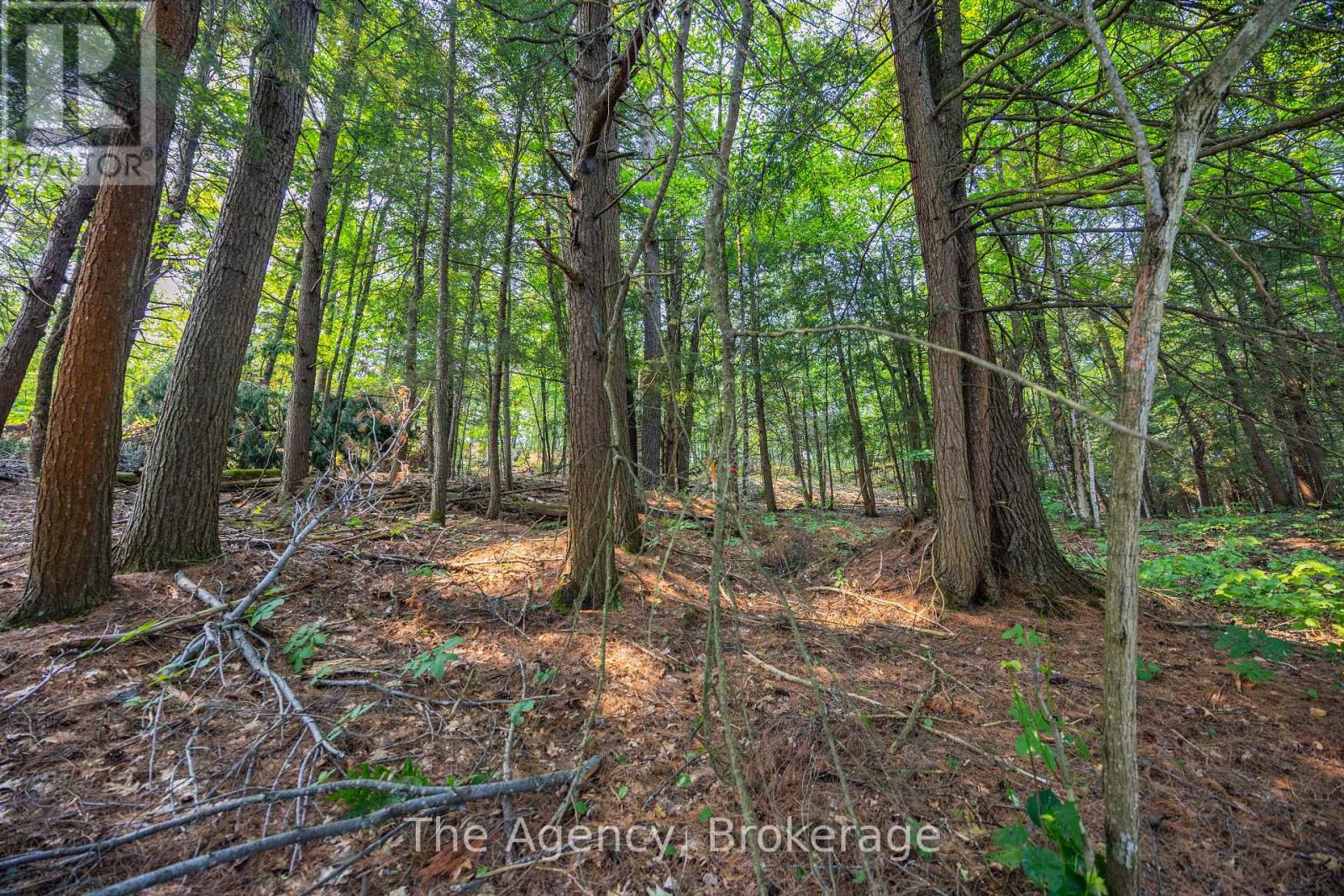 Lot 13 4 Wheel Drive, Gravenhurst, Ontario  P0E 1G0 - Photo 16 - X12326243