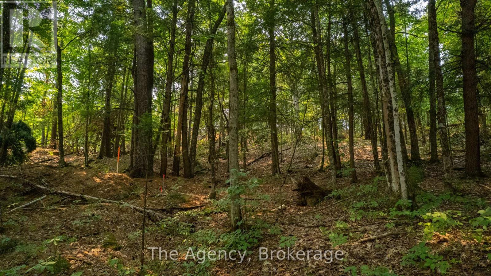 Lot 13 4 Wheel Drive, Gravenhurst, Ontario  P0E 1G0 - Photo 21 - X12326243