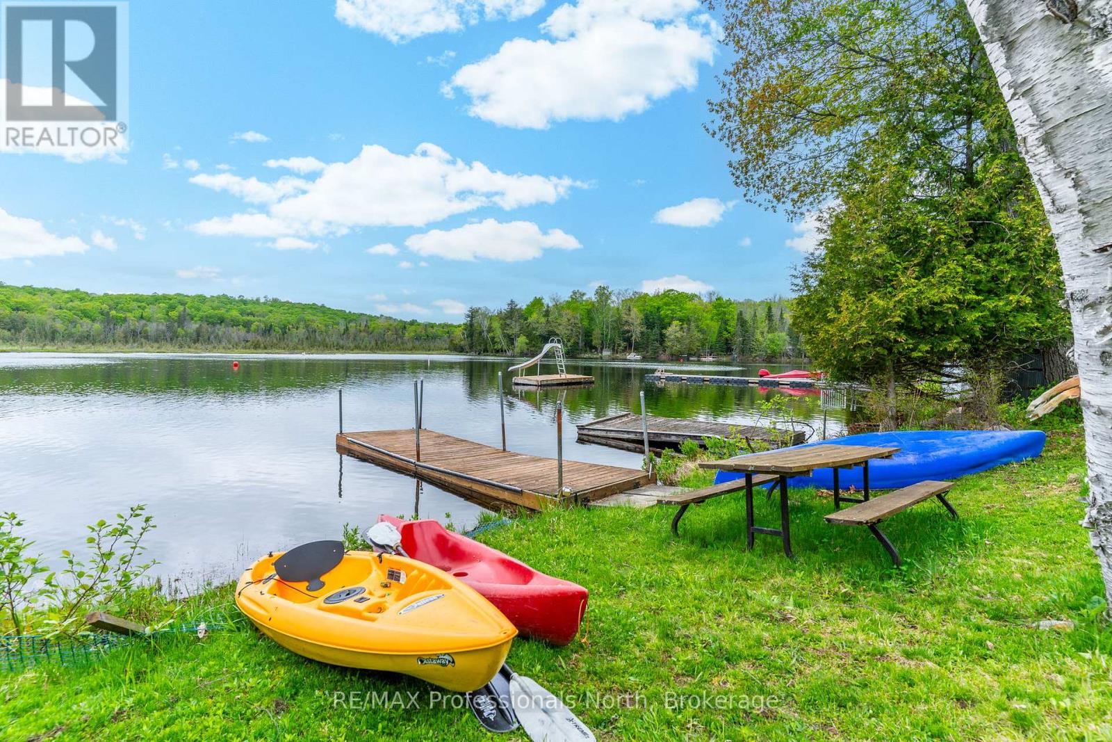 3539 County Road 21, Minden Hills, Ontario  K0M 1S0 - Photo 4 - X12328162