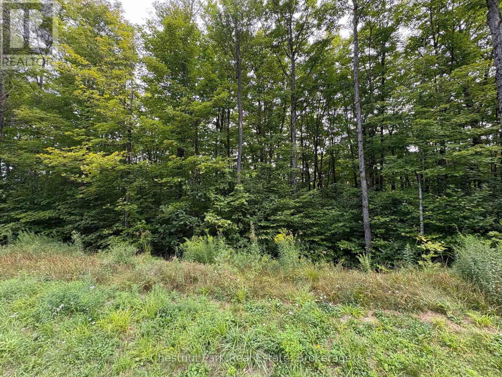 Lot 11 Millie's Way, Armour, Ontario  P0A 1C0 - Photo 10 - X12329297