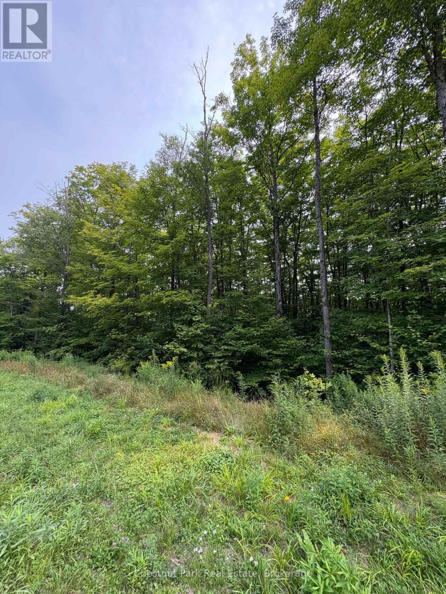 Lot 11 Millie's Way, Armour, Ontario  P0A 1C0 - Photo 11 - X12329297