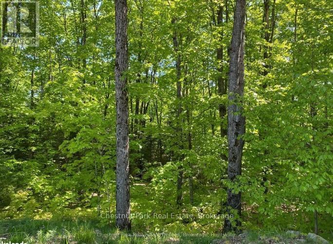 Lot 11 Millie's Way, Armour, Ontario  P0A 1C0 - Photo 3 - X12329297