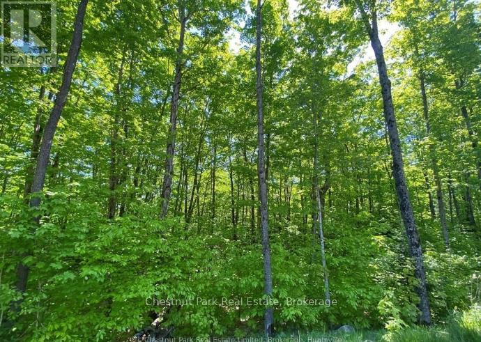 Lot 11 Millie's Way, Armour, Ontario  P0A 1C0 - Photo 4 - X12329297