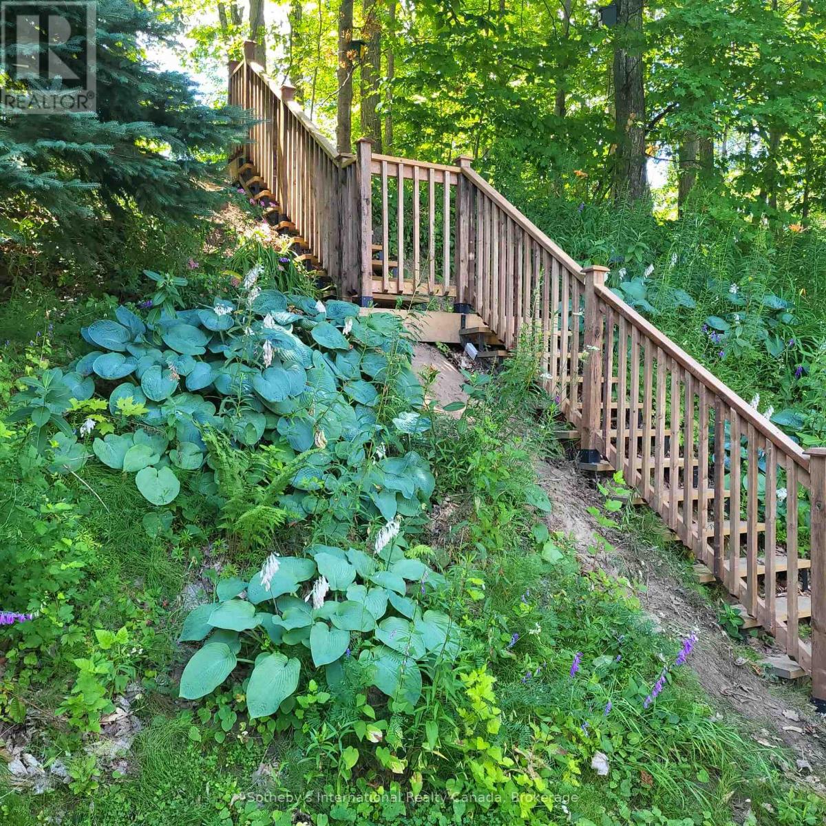 17 Sugarbush Road, Oro-Medonte, Ontario  L0K 1E0 - Photo 8 - S12329321