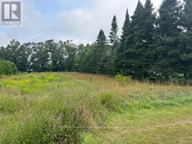 125 Graham's Hill Road, Georgian Bluffs, Ontario  N0H 2T0 - Photo 2 - X12329392