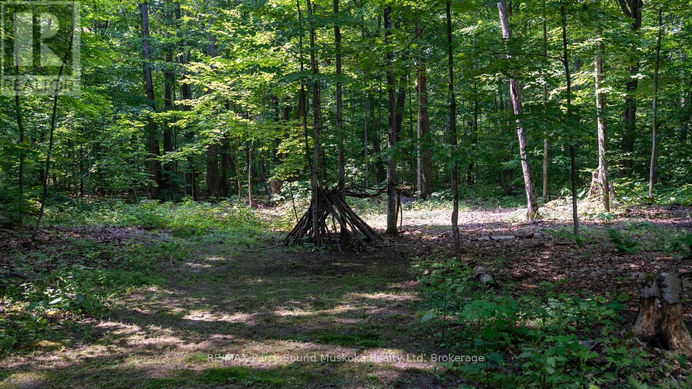20 Sandy Plains Road, Seguin, Ontario  P2A 2W8 - Photo 44 - X12331471