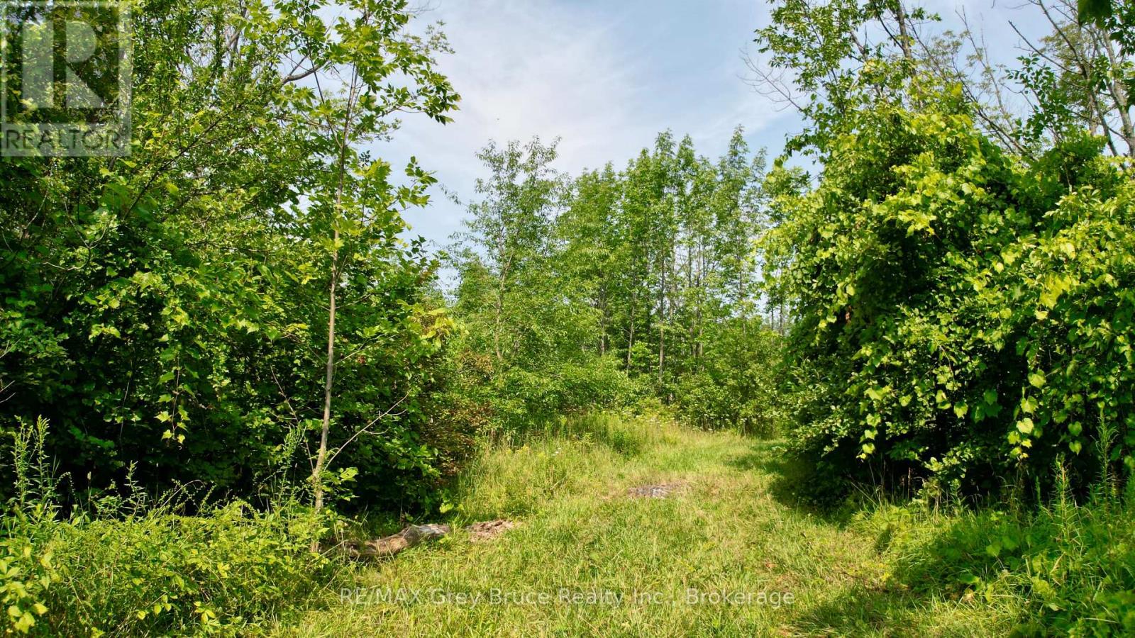 61 Crawford Drive, South Bruce Peninsula, Ontario  N0H 2T0 - Photo 22 - X12331956