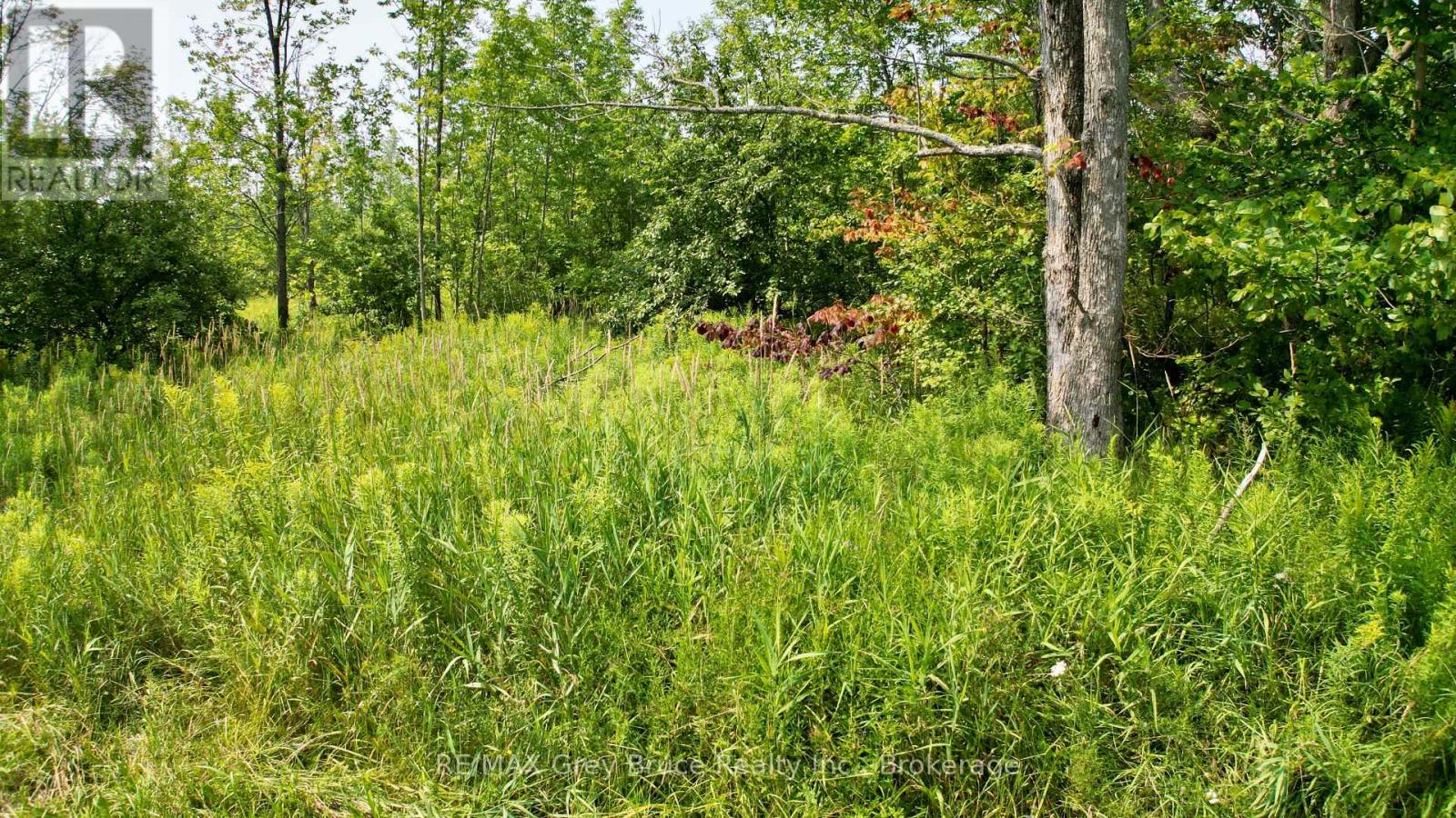 61 Crawford Drive, South Bruce Peninsula, Ontario  N0H 2T0 - Photo 48 - X12331956