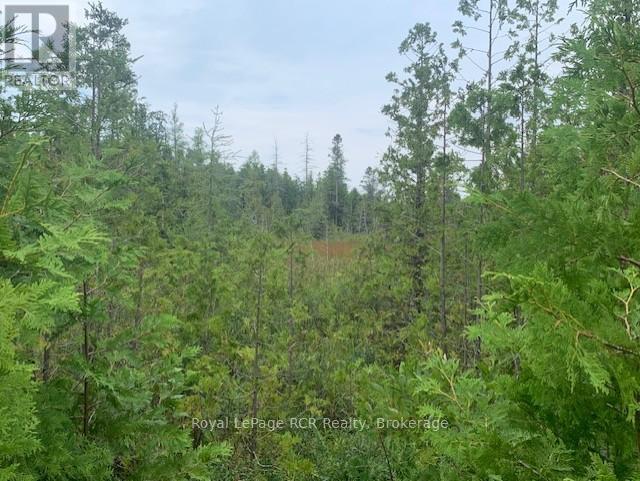 8 Ross Street, South Bruce Peninsula, Ontario  N0H 2T0 - Photo 12 - X12332607