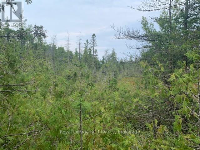 8 Ross Street, South Bruce Peninsula, Ontario  N0H 2T0 - Photo 15 - X12332607