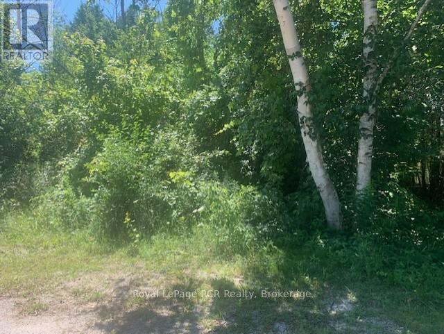 8 Ross Street, South Bruce Peninsula, Ontario  N0H 2T0 - Photo 3 - X12332607