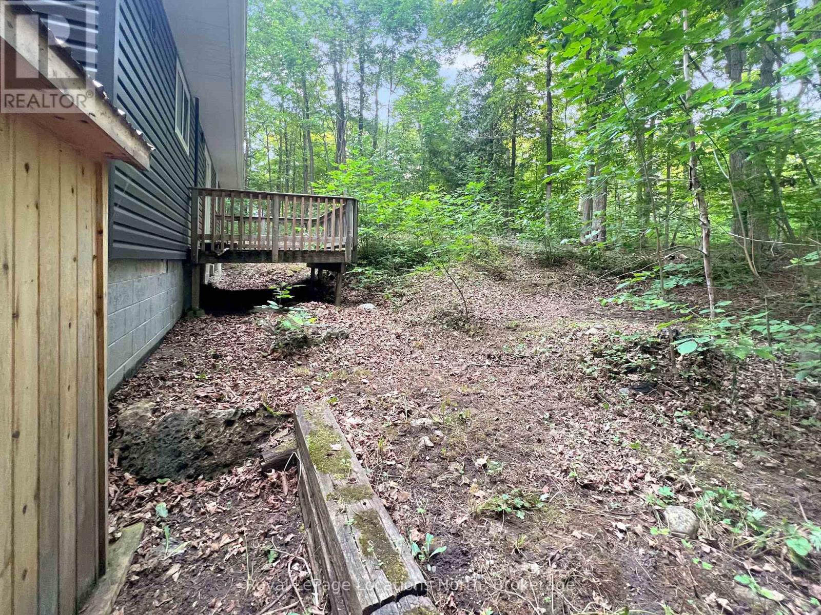 213 Tammy's Cove Road, Northern Bruce Peninsula, Ontario  N0H 1W0 - Photo 8 - X12332643