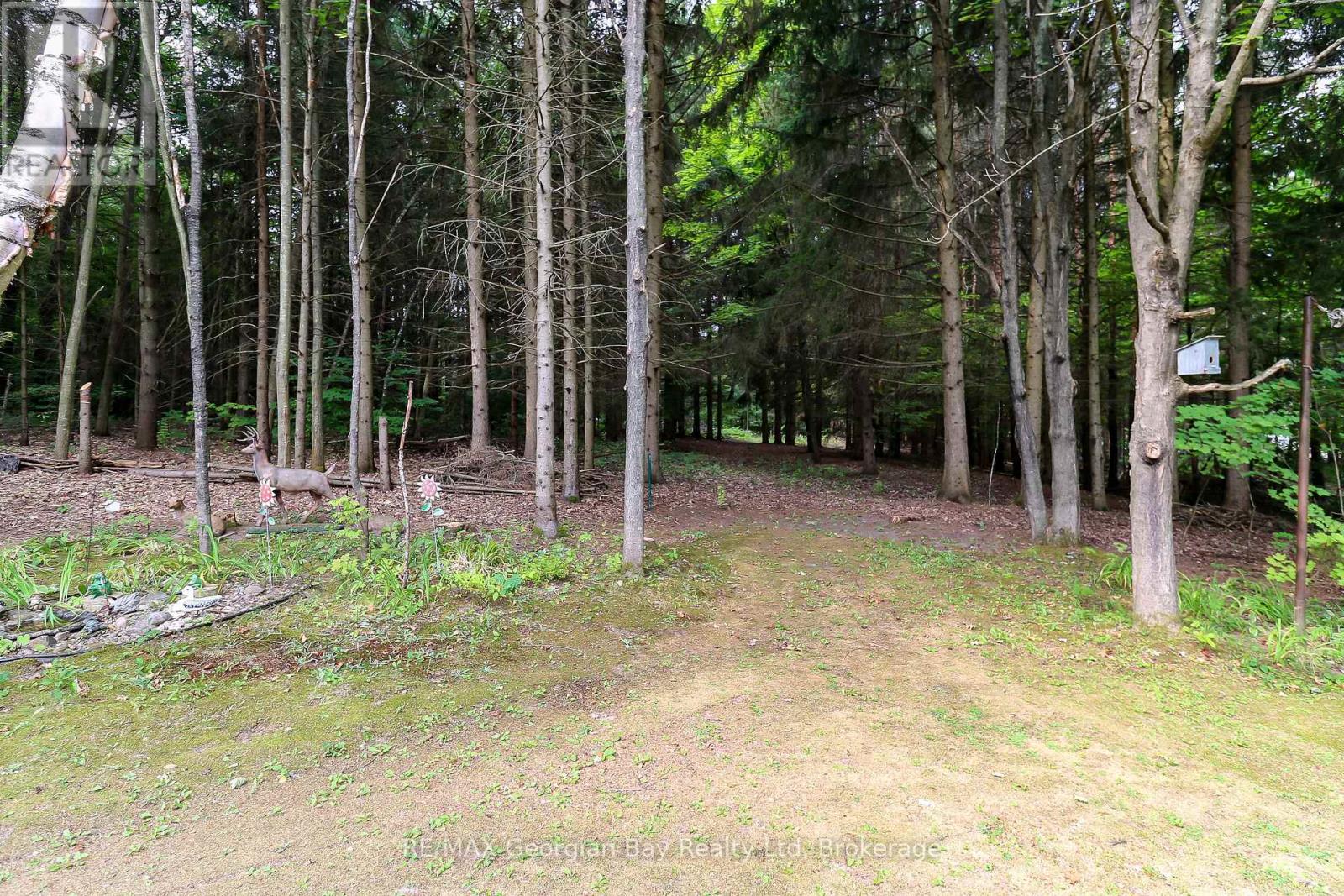 436 Puddicombe Road, Midland, Ontario  L4R 5G7 - Photo 44 - S12333020