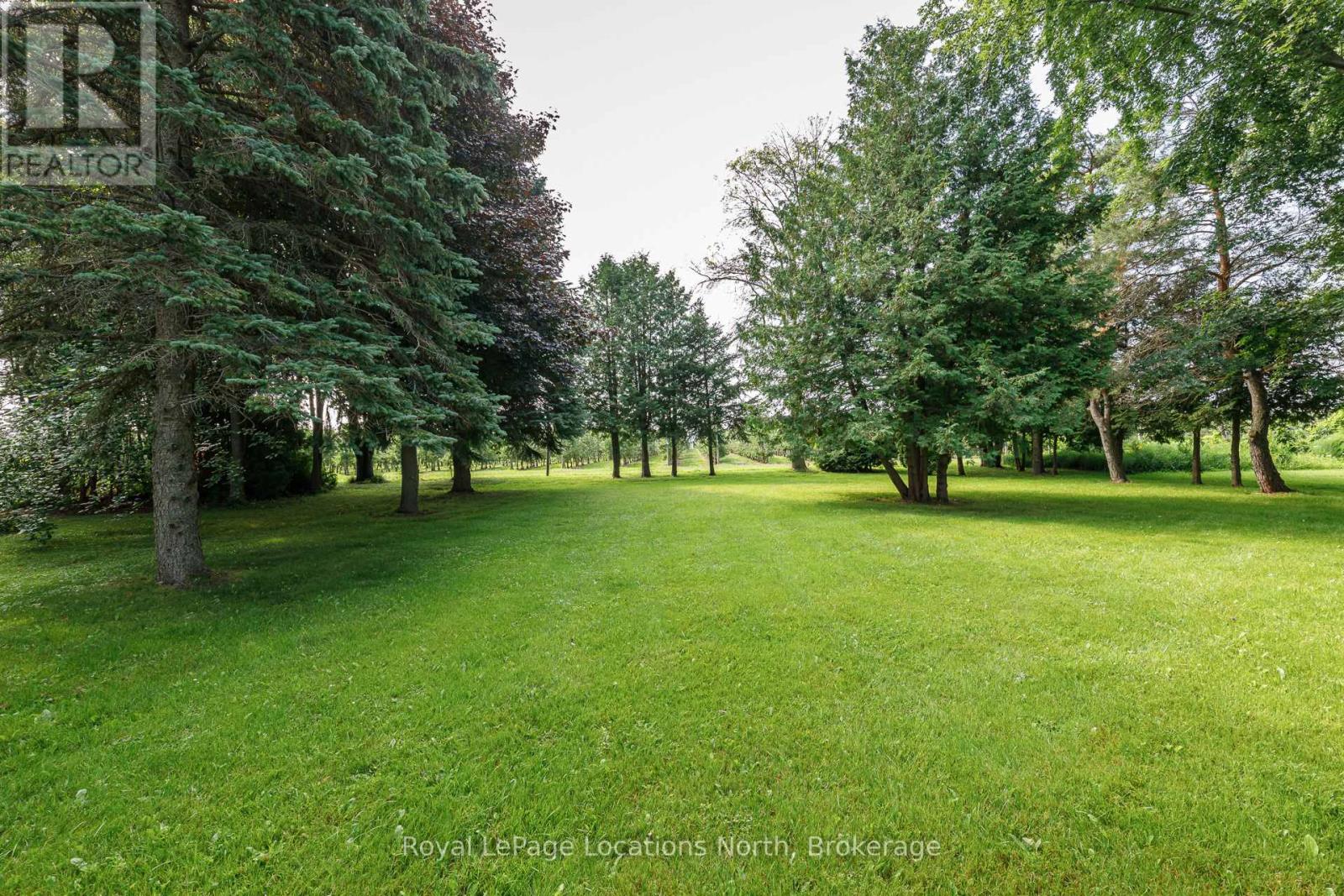 132 Matilda Street, Blue Mountains, Ontario  N0H 1J0 - Photo 11 - X12333453