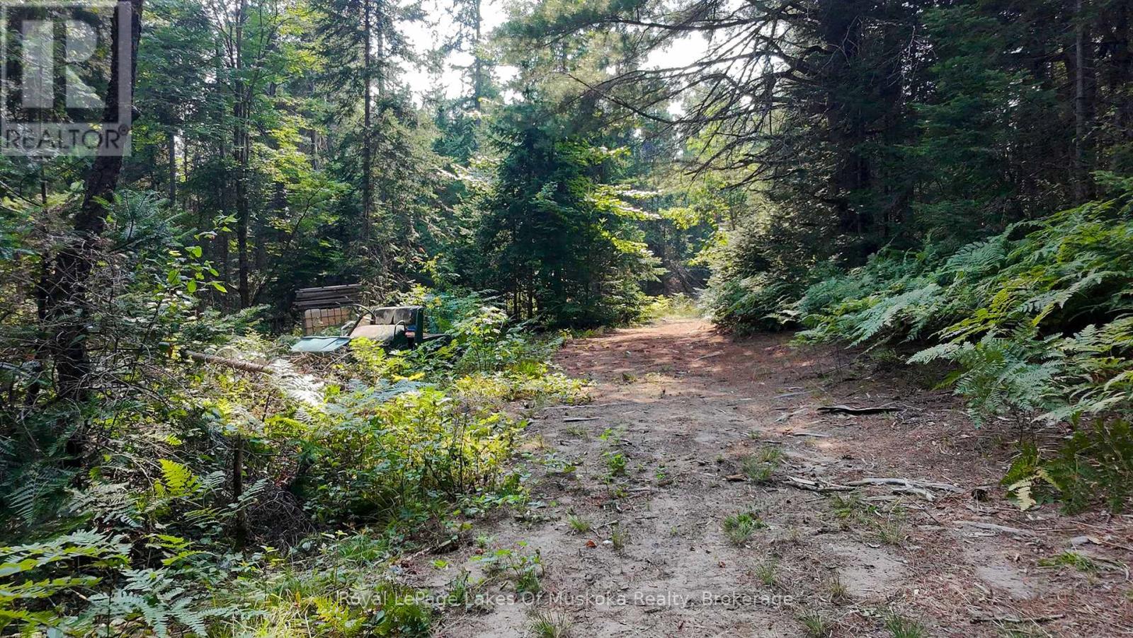 1590 Yearley Road, Huntsville, Ontario  P0B 1M0 - Photo 23 - X12335484