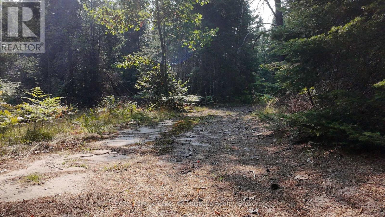 1590 Yearley Road, Huntsville, Ontario  P0B 1M0 - Photo 26 - X12335484