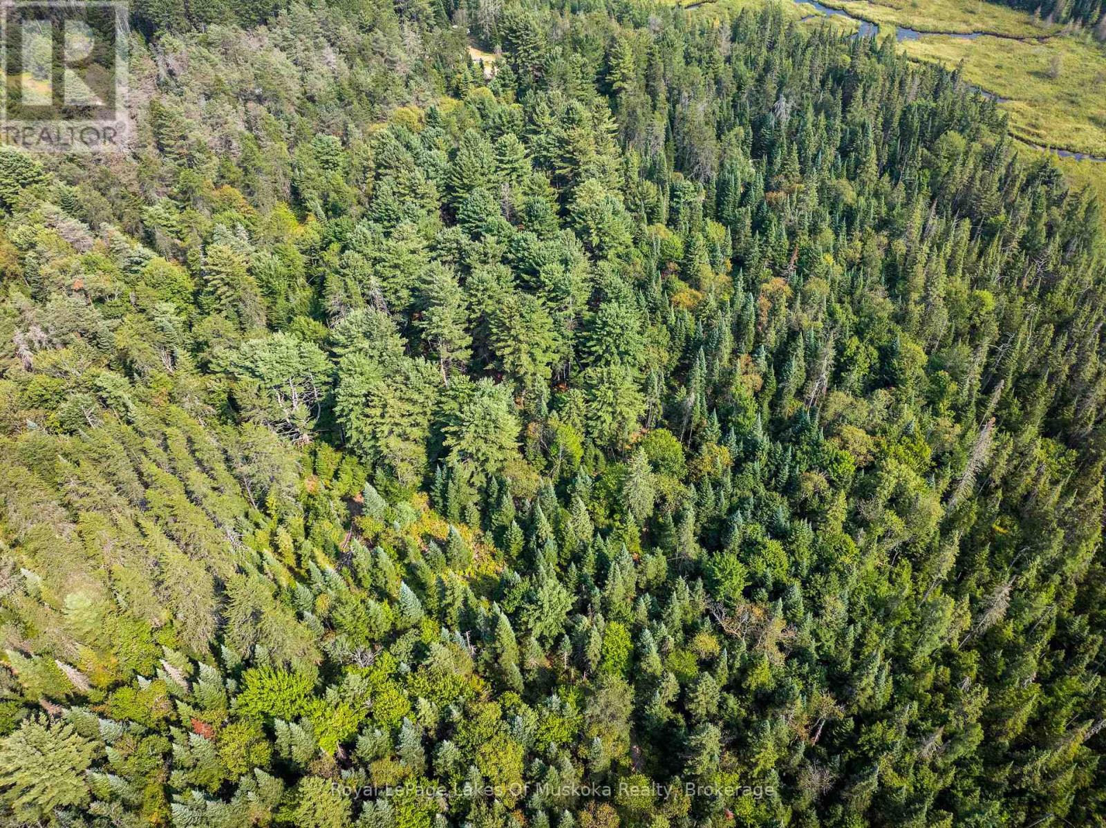 1590 Yearley Road, Huntsville, Ontario  P0B 1M0 - Photo 29 - X12335484