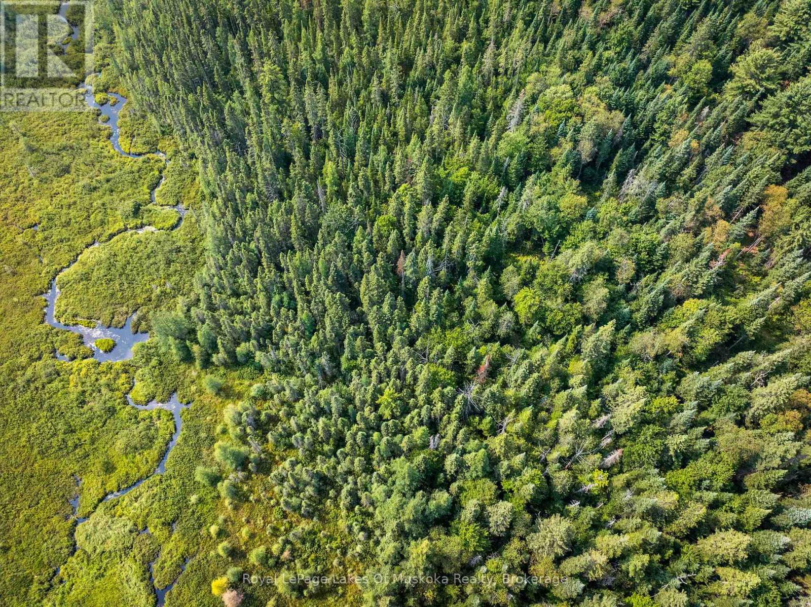 1590 Yearley Road, Huntsville, Ontario  P0B 1M0 - Photo 33 - X12335484