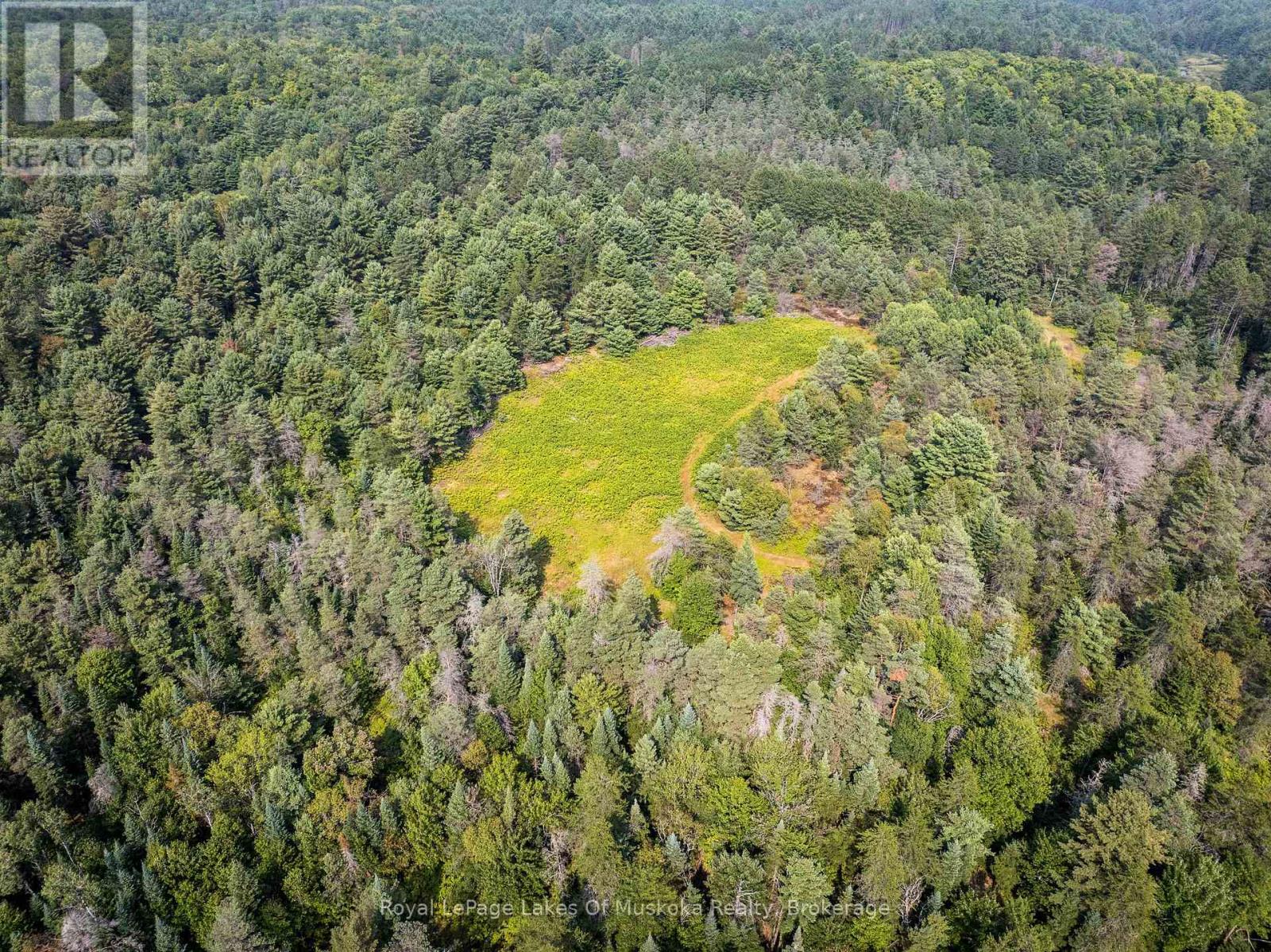 1590 Yearley Road, Huntsville, Ontario  P0B 1M0 - Photo 6 - X12335484