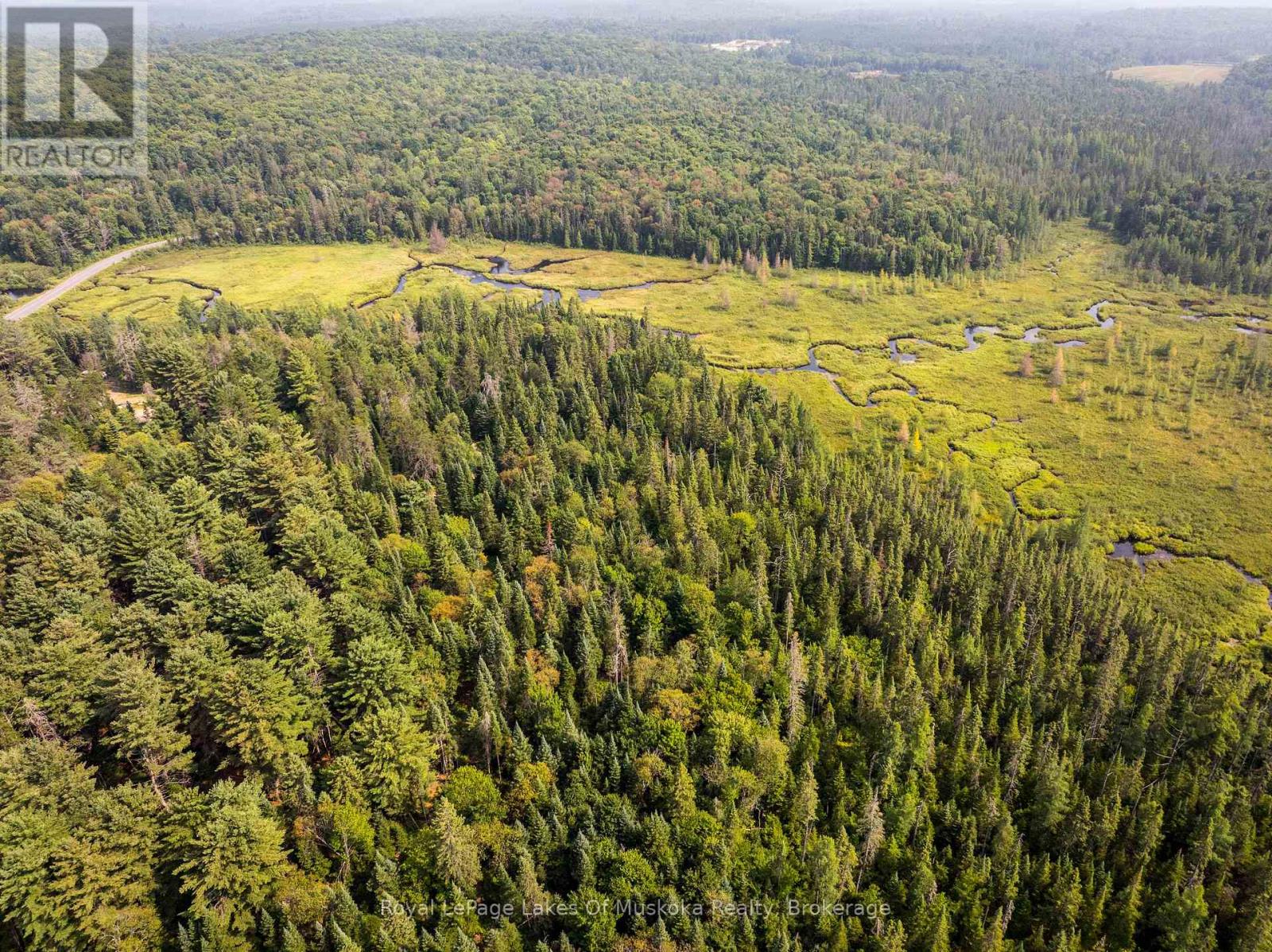 1590 Yearley Road, Huntsville, Ontario  P0B 1M0 - Photo 7 - X12335484