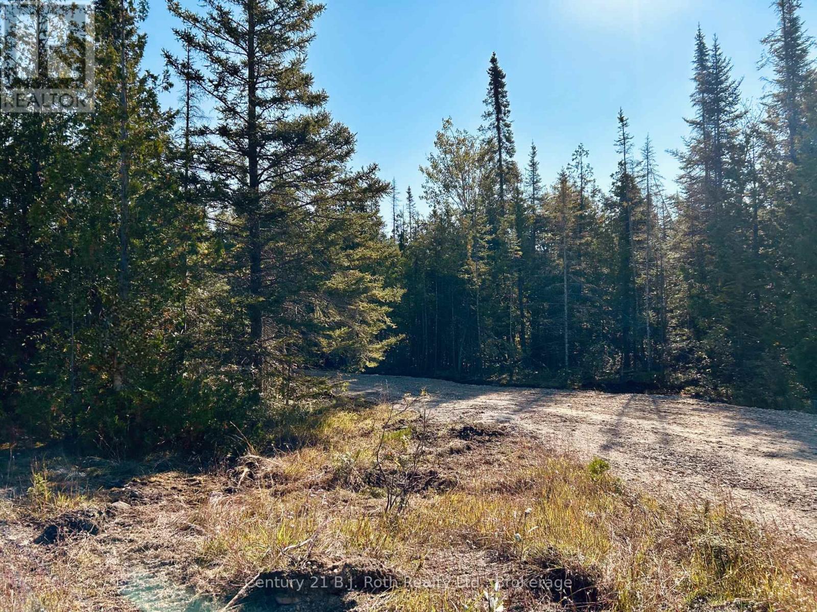 155 Bradley Drive, Northern Bruce Peninsula, Ontario  N0H 1Z0 - Photo 2 - X12337147