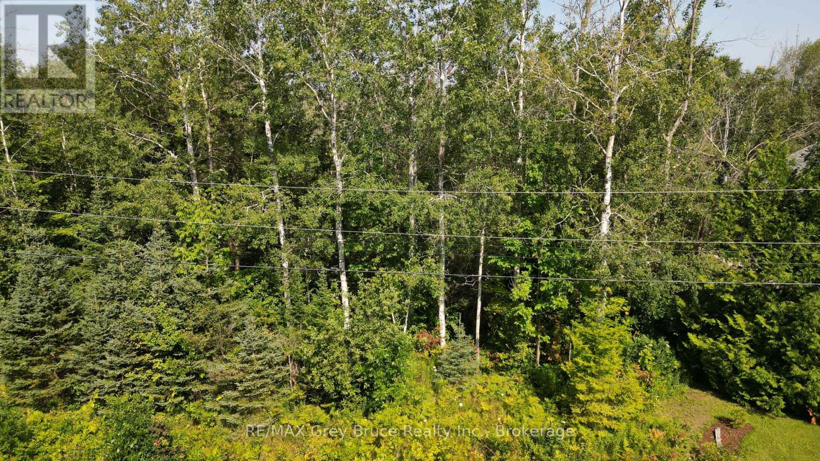 127 Maple Drive, Northern Bruce Peninsula, Ontario  N0H 1Z0 - Photo 4 - X12338541