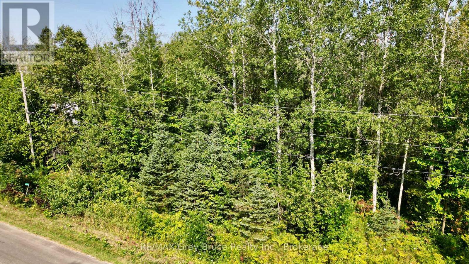 127 Maple Drive, Northern Bruce Peninsula, Ontario  N0H 1Z0 - Photo 5 - X12338541