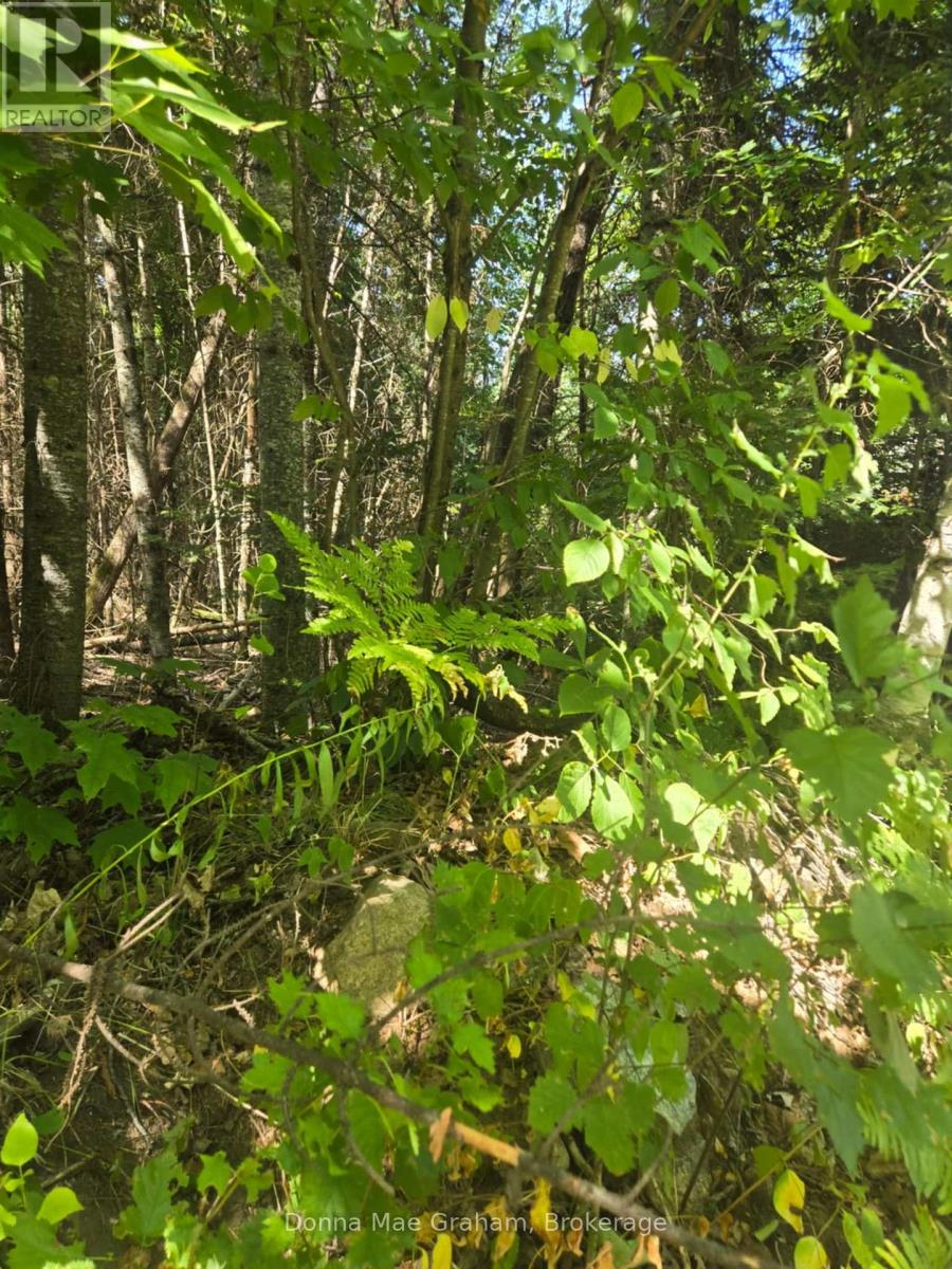 0 MACDUFF ROAD ACRES E, Highlands East, Ontario