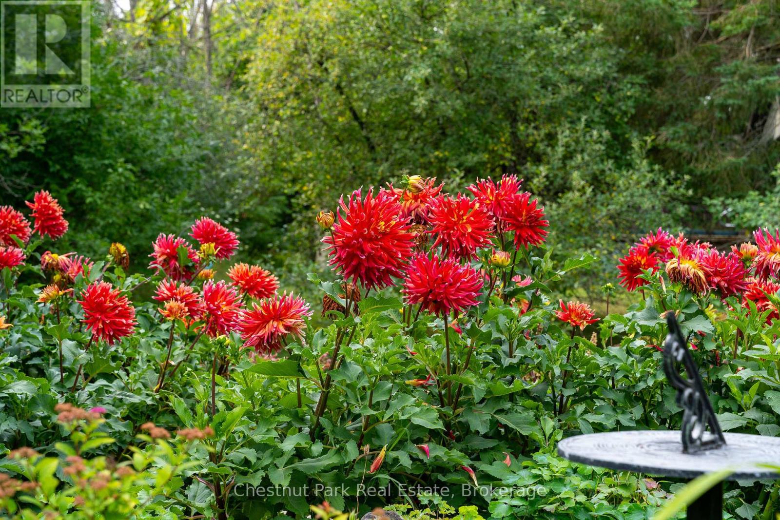 119 Martin Grove, Blue Mountains, Ontario  L9Y 0N5 - Photo 33 - X12340579