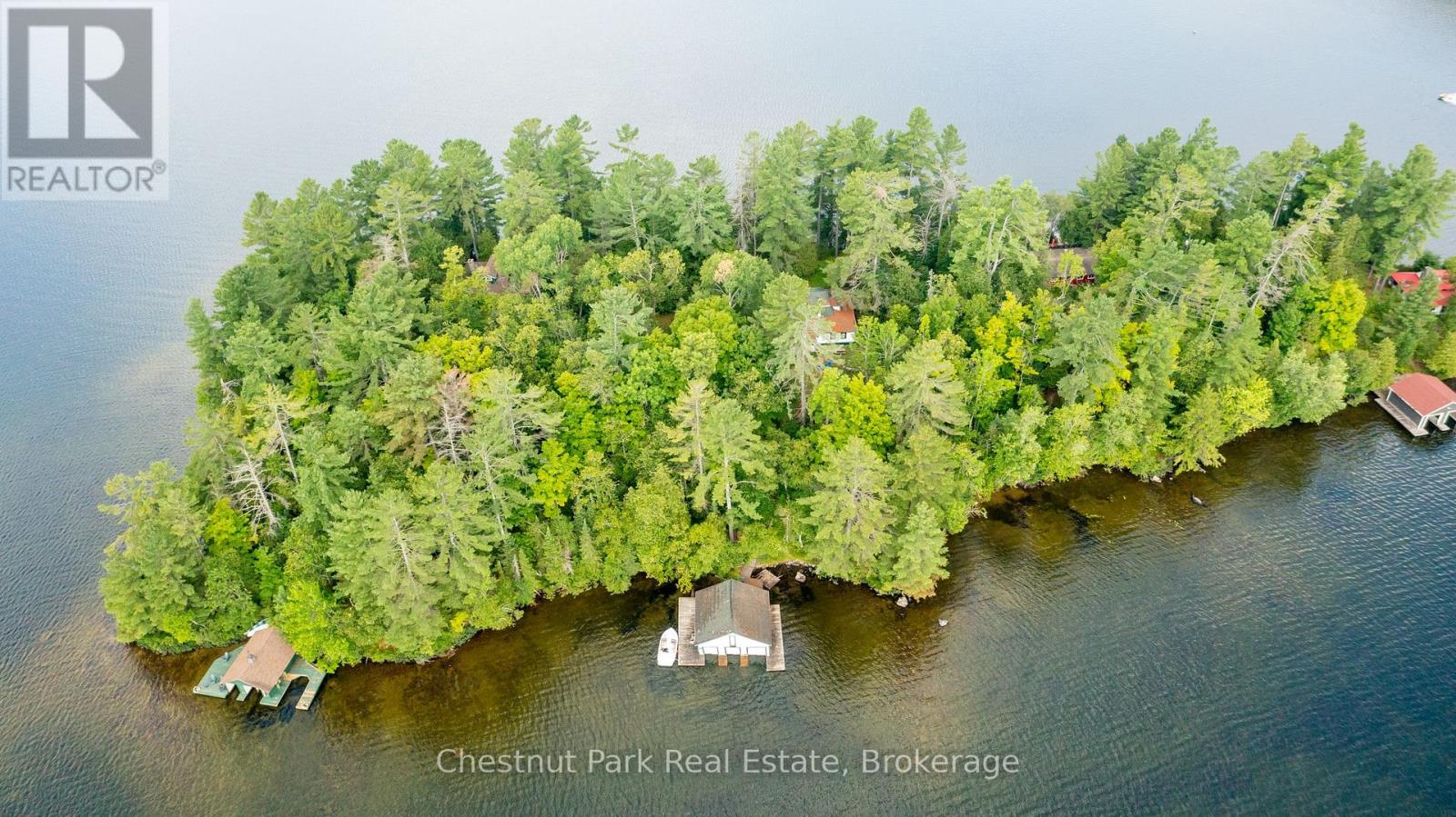 4 Hills Island, Lake Of Bays, Ontario  P0B 1A0 - Photo 4 - X12345010