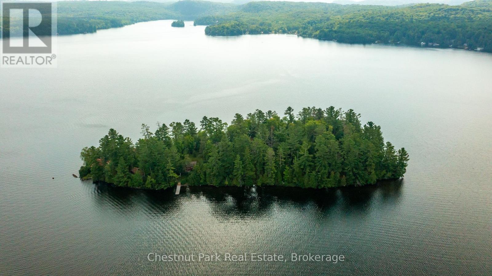 4 Hills Island, Lake Of Bays, Ontario  P0B 1A0 - Photo 7 - X12345010